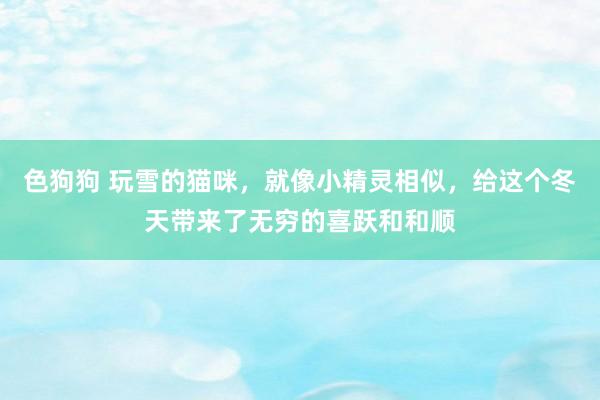   色狗狗 玩雪的猫咪，就像小精灵相似，给这个冬天带来了无穷的喜跃和和顺