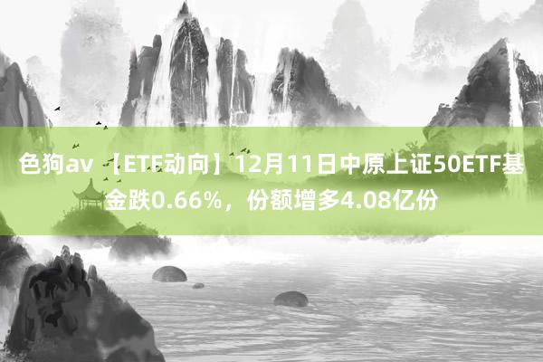   色狗av 【ETF动向】12月11日中原上证50ETF基金跌0.66%，份额增多4.08亿份