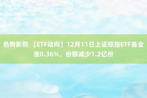   色狗影院 【ETF动向】12月11日上证综指ETF基金涨0.36%，份额减少1.2亿份