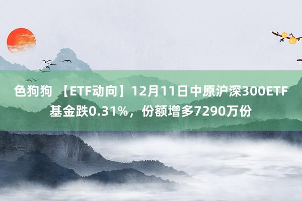   色狗狗 【ETF动向】12月11日中原沪深300ETF基金跌0.31%，份额增多7290万份