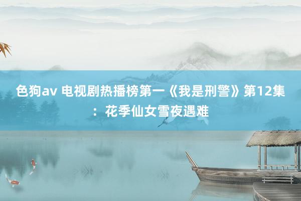   色狗av 电视剧热播榜第一《我是刑警》第12集：花季仙女雪夜遇难