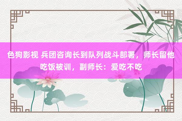   色狗影视 兵团咨询长到队列战斗部署，师长留他吃饭被训，副师长：爱吃不吃