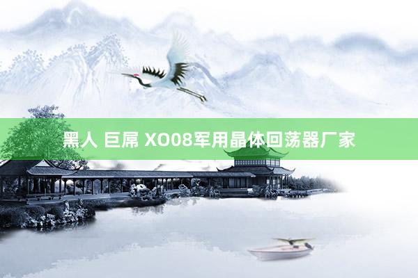   黑人 巨屌 XO08军用晶体回荡器厂家