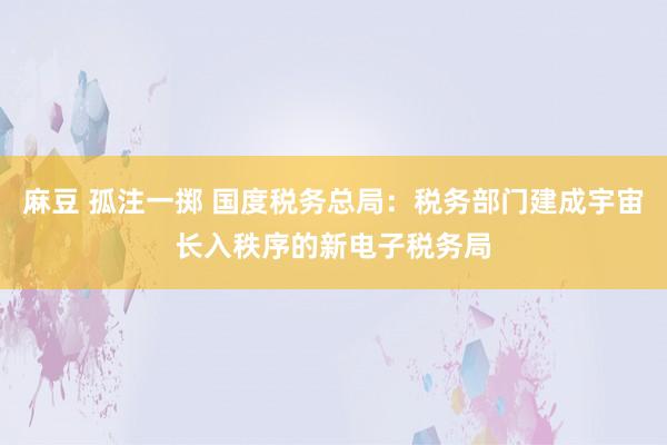   麻豆 孤注一掷 国度税务总局：税务部门建成宇宙长入秩序的新电子税务局