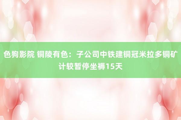   色狗影院 铜陵有色：子公司中铁建铜冠米拉多铜矿计较暂停坐褥15天