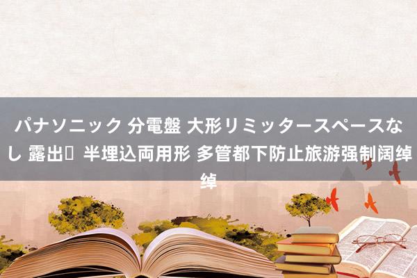   パナソニック 分電盤 大形リミッタースペースなし 露出・半埋込両用形 多管都下防止旅游强制阔绰