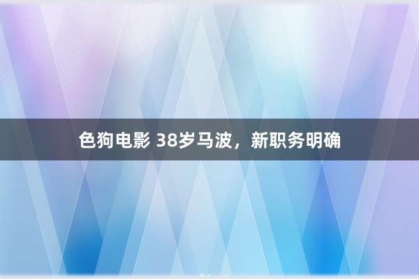  色狗电影 38岁马波，新职务明确