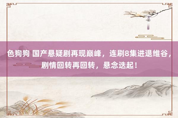   色狗狗 国产悬疑剧再现巅峰，连刷8集进退维谷，剧情回转再回转，悬念迭起！