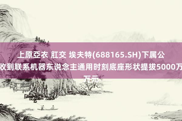   上原亞衣 肛交 埃夫特(688165.SH)下属公司收到联系机器东说念主通用时刻底座形状提拔5000万元