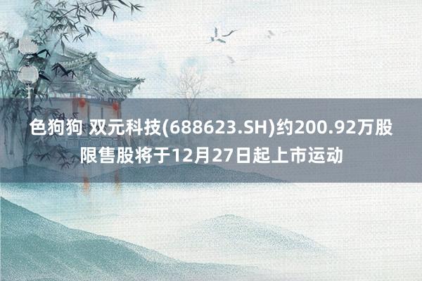   色狗狗 双元科技(688623.SH)约200.92万股限售股将于12月27日起上市运动