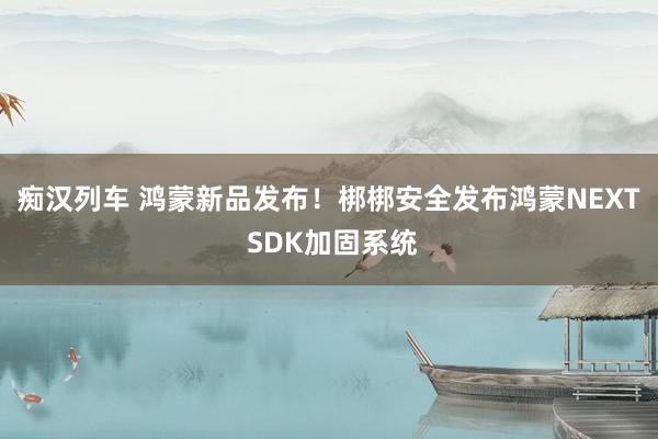   痴汉列车 鸿蒙新品发布！梆梆安全发布鸿蒙NEXT SDK加固系统