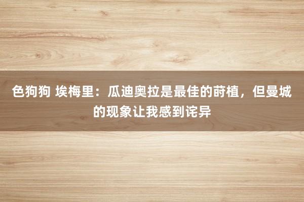   色狗狗 埃梅里：瓜迪奥拉是最佳的莳植，但曼城的现象让我感到诧异