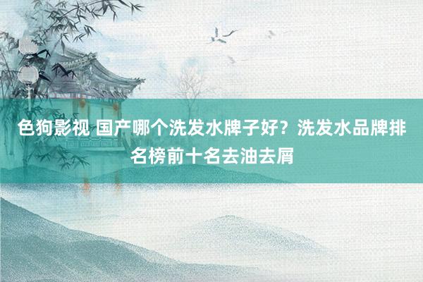   色狗影视 国产哪个洗发水牌子好？洗发水品牌排名榜前十名去油去屑