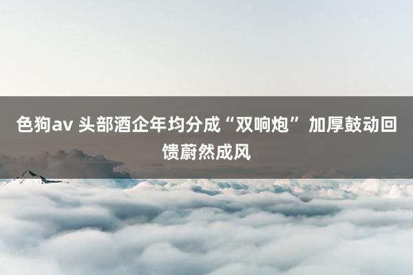   色狗av 头部酒企年均分成“双响炮” 加厚鼓动回馈蔚然成风