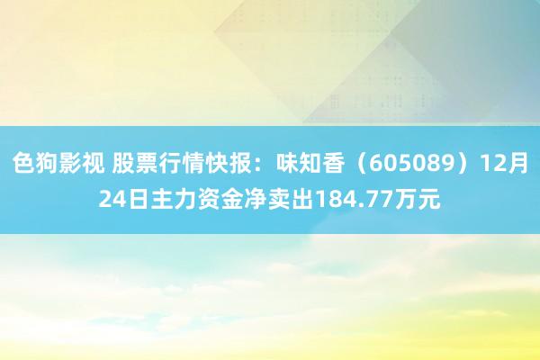   色狗影视 股票行情快报：味知香（605089）12月24日主力资金净卖出184.77万元