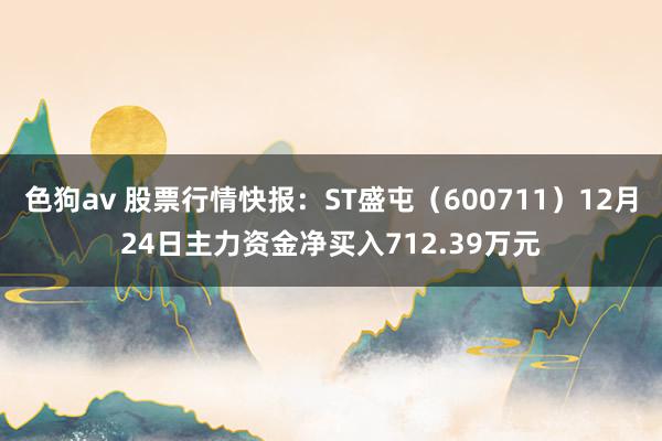   色狗av 股票行情快报：ST盛屯（600711）12月24日主力资金净买入712.39万元