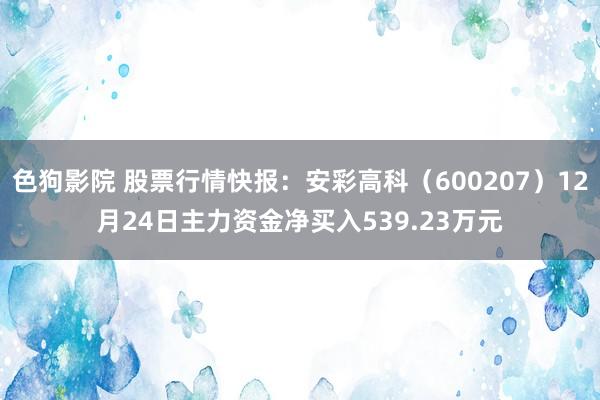   色狗影院 股票行情快报：安彩高科（600207）12月24日主力资金净买入539.23万元