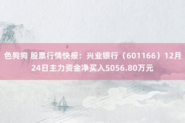   色狗狗 股票行情快报：兴业银行（601166）12月24日主力资金净买入5056.80万元