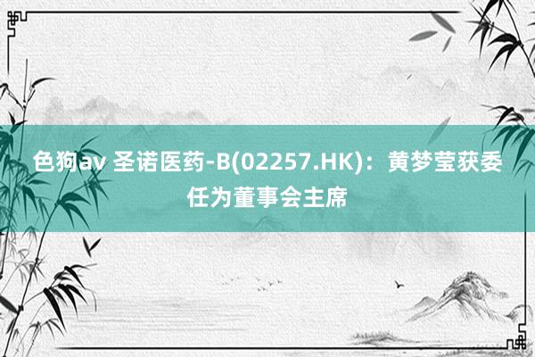  色狗av 圣诺医药-B(02257.HK)：黄梦莹获委任为董事会主席