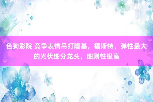   色狗影院 竞争表情吊打隆基，福斯特，弹性最大的光伏细分龙头，细则性极高