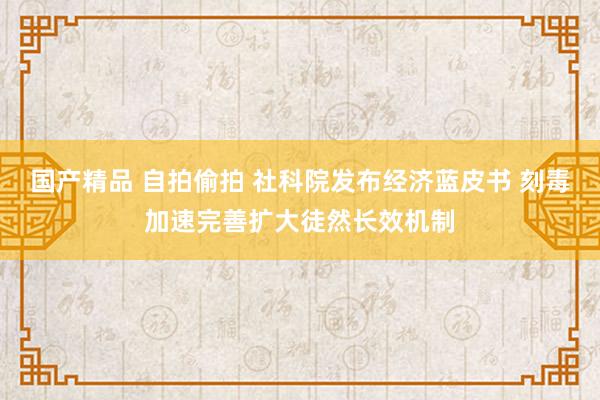  国产精品 自拍偷拍 社科院发布经济蓝皮书 刻毒加速完善扩大徒然长效机制
