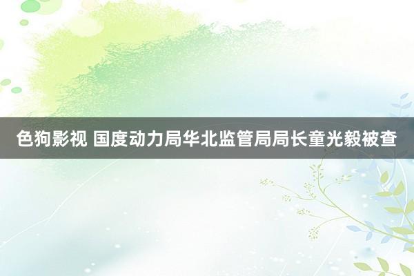   色狗影视 国度动力局华北监管局局长童光毅被查