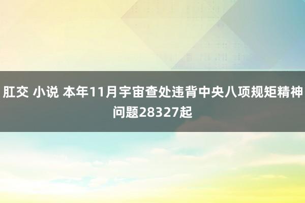   肛交 小说 本年11月宇宙查处违背中央八项规矩精神问题28327起