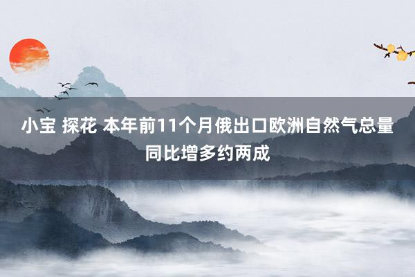   小宝 探花 本年前11个月俄出口欧洲自然气总量同比增多约两成