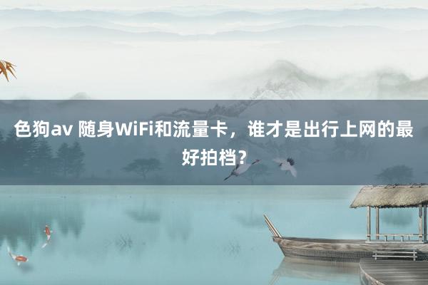   色狗av 随身WiFi和流量卡，谁才是出行上网的最好拍档？