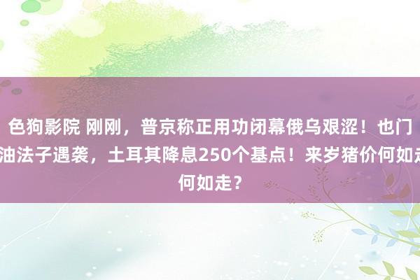   色狗影院 刚刚，普京称正用功闭幕俄乌艰涩！也门石油法子遇袭，土耳其降息250个基点！来岁猪价何如走？