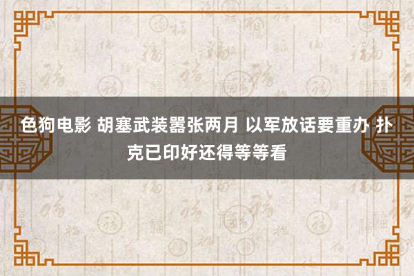   色狗电影 胡塞武装嚣张两月 以军放话要重办 扑克已印好还得等等看