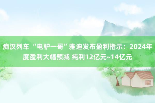  痴汉列车 “电驴一哥”雅迪发布盈利指示：2024年度盈利大幅预减 纯利12亿元~14亿元