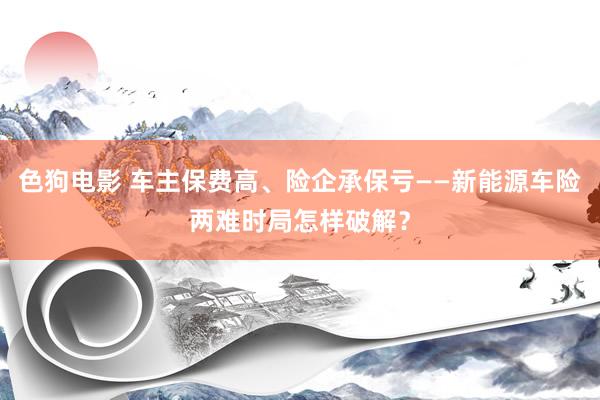   色狗电影 车主保费高、险企承保亏——新能源车险两难时局怎样破解？