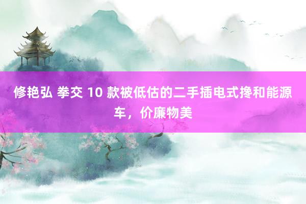   修艳弘 拳交 10 款被低估的二手插电式搀和能源车，价廉物美