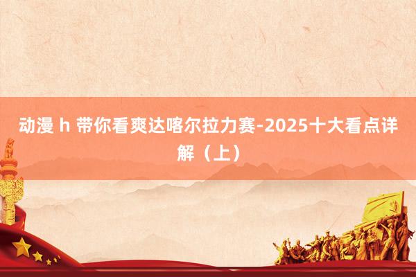   动漫 h 带你看爽达喀尔拉力赛-2025十大看点详解（上）