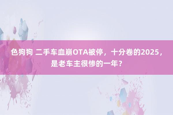   色狗狗 二手车血崩OTA被停，十分卷的2025，是老车主很惨的一年？