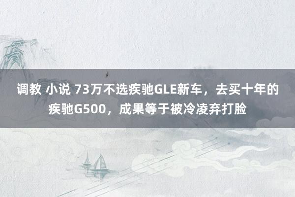   调教 小说 73万不选疾驰GLE新车，去买十年的疾驰G500，成果等于被冷凌弃打脸