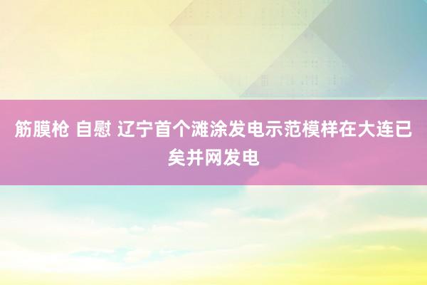   筋膜枪 自慰 辽宁首个滩涂发电示范模样在大连已矣并网发电