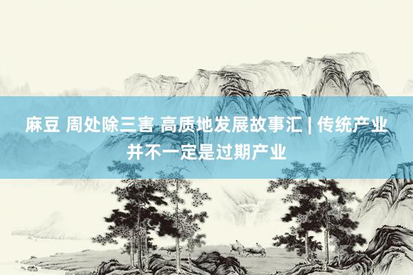   麻豆 周处除三害 高质地发展故事汇 | 传统产业并不一定是过期产业