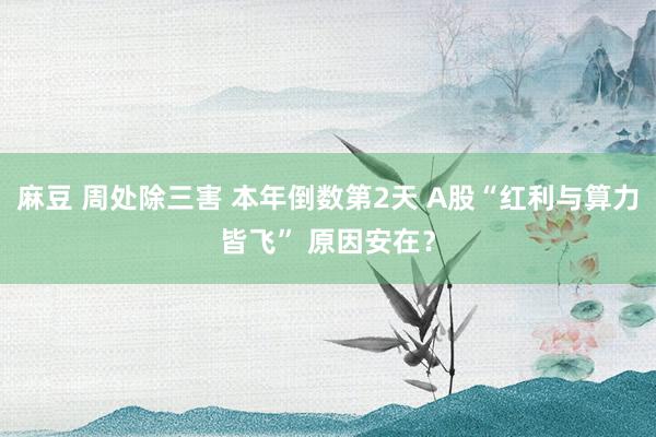  麻豆 周处除三害 本年倒数第2天 A股“红利与算力皆飞” 原因安在？