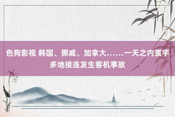   色狗影视 韩国、挪威、加拿大……一天之内寰宇多地接连发生客机事故