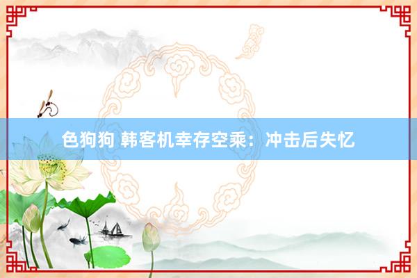   色狗狗 韩客机幸存空乘：冲击后失忆