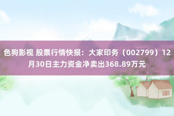   色狗影视 股票行情快报：大家印务（002799）12月30日主力资金净卖出368.89万元