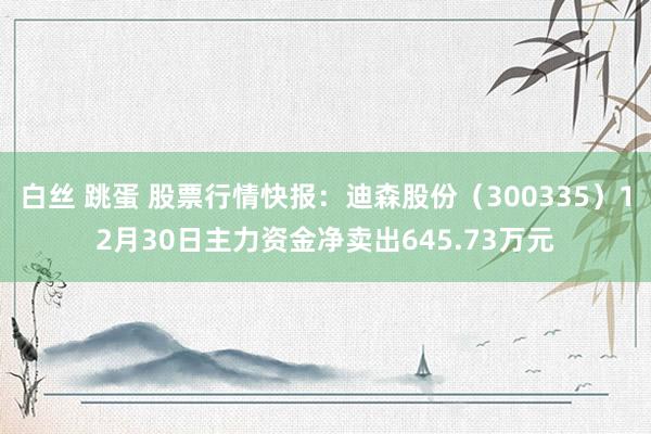   白丝 跳蛋 股票行情快报：迪森股份（300335）12月30日主力资金净卖出645.73万元