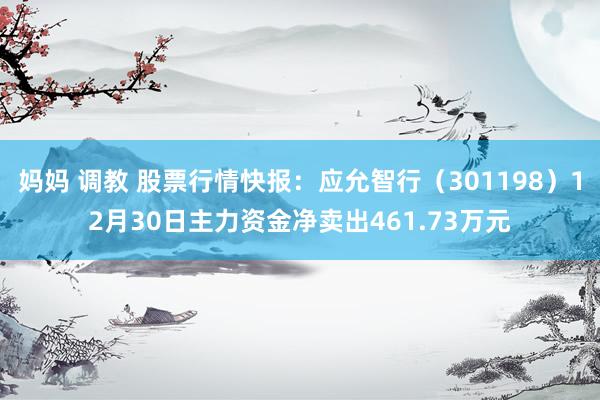   妈妈 调教 股票行情快报：应允智行（301198）12月30日主力资金净卖出461.73万元
