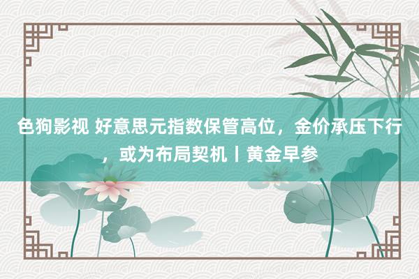   色狗影视 好意思元指数保管高位，金价承压下行，或为布局契机丨黄金早参
