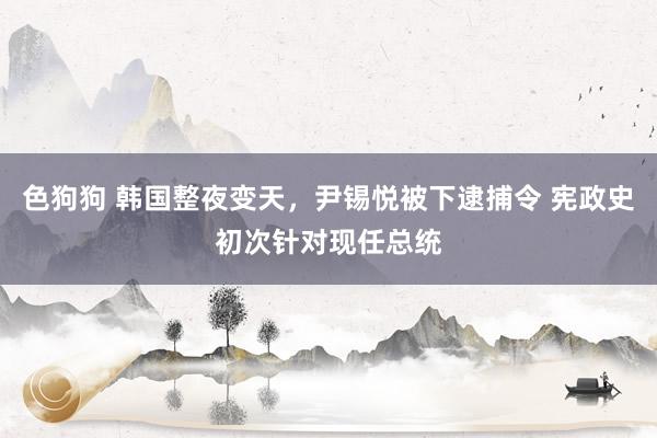   色狗狗 韩国整夜变天，尹锡悦被下逮捕令 宪政史初次针对现任总统