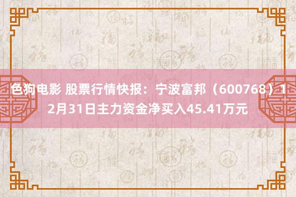   色狗电影 股票行情快报：宁波富邦（600768）12月31日主力资金净买入45.41万元