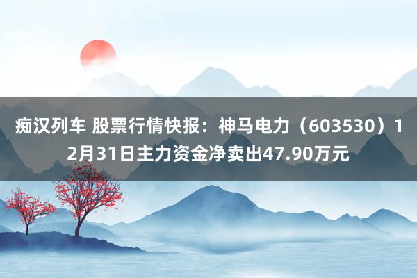   痴汉列车 股票行情快报：神马电力（603530）12月31日主力资金净卖出47.90万元
