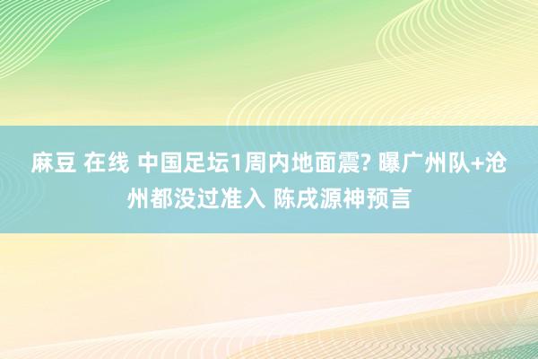   麻豆 在线 中国足坛1周内地面震? 曝广州队+沧州都没过准入 陈戌源神预言